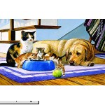 SunsOut What's a Dog to Do 100 Piece Jigsaw Puzzle  B0783BDBHQ